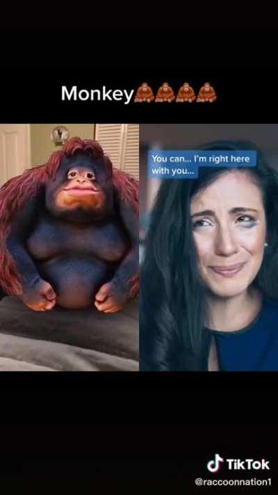 THEATRE MONKY THEATRE MONKY THEATRE MONKY