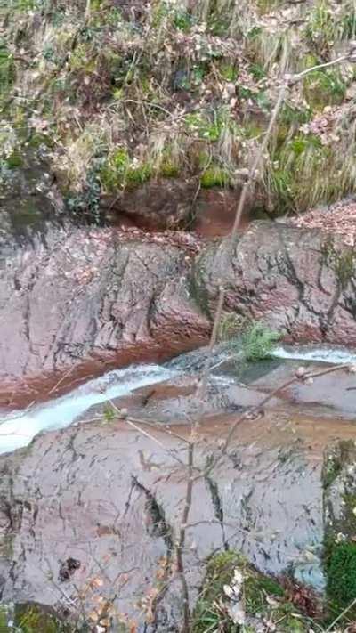 Just some dudes on a walk