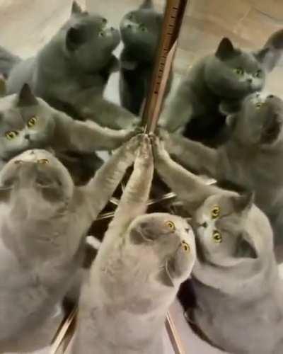 kITty GEtS trAppEd In THe multIVeRSE OF mAdNESS