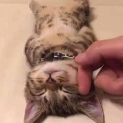 Don't disturb me while I'm at the SPA. 🥵