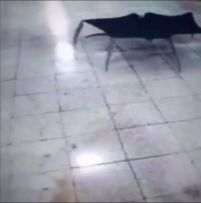 Did not expect that (video not mine)