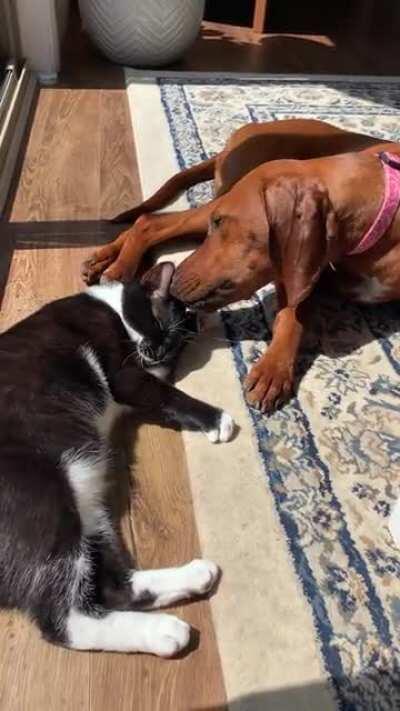 These two melt my heart