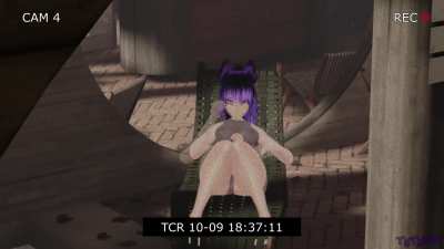 I didn't know there were cameras