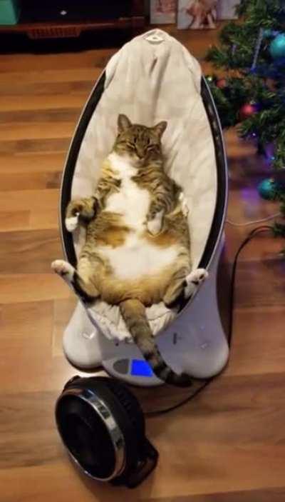 This was supposed to be for the newborn...