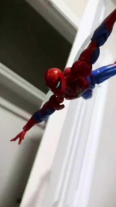 spidy saves the day