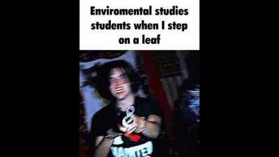 VCE slander but its just memes I made over the past year