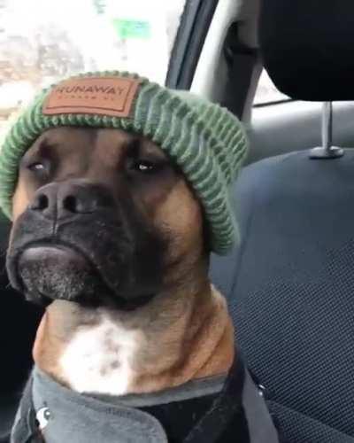 Always on the lookout!