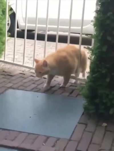 Time to go on a diet