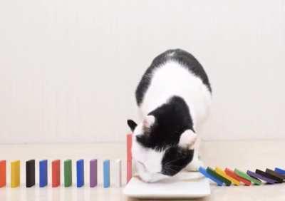 just tip over the dominoes