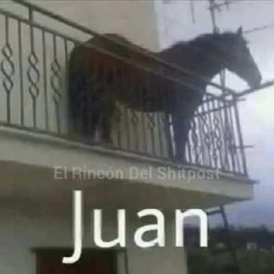 Juan