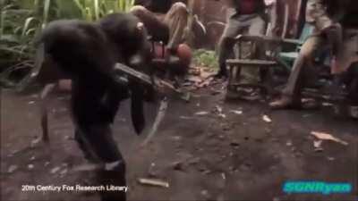 Giving an AK to a monkey