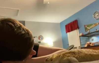 Person pretends to fall asleep to see what she would do