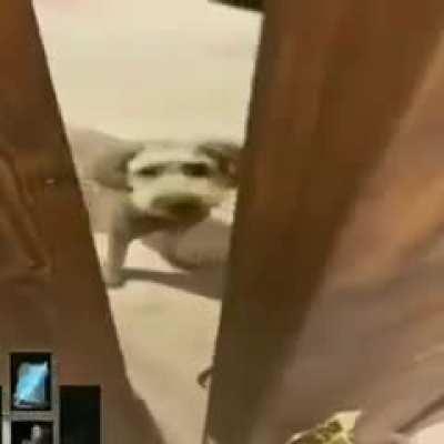 Luangameplay666 - Video #3645