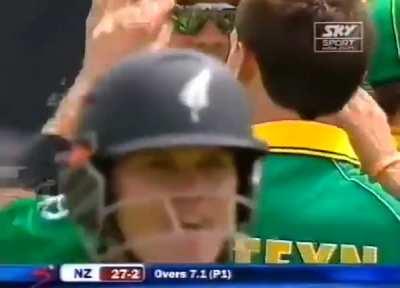 Steyn to Lou Vincent