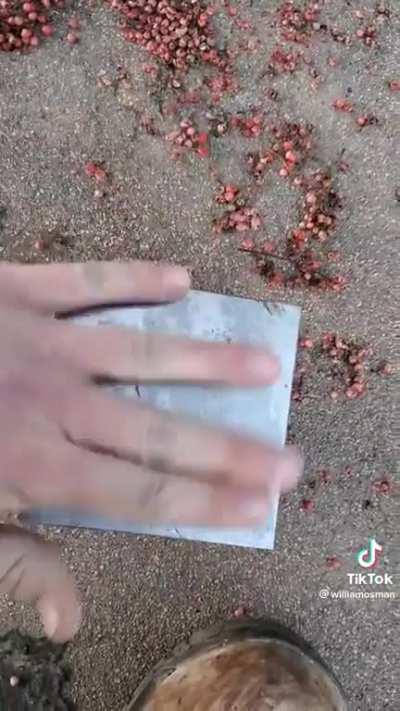 Got me bricked up fr