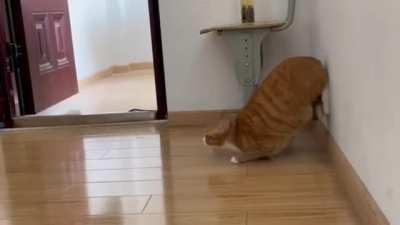 Hey, check this out!