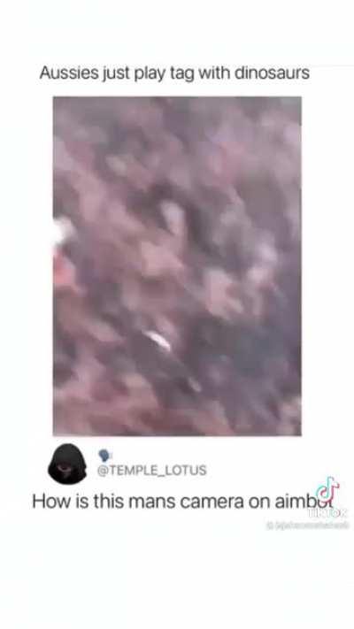 Normal stuff for aussies