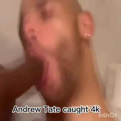 Omg Andrew Tate
