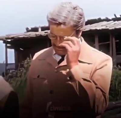 iyi geceler pampalar