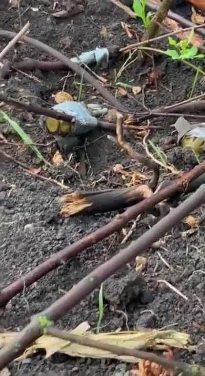 Freeing Ukrainian territory! ðºð¦ðª It cannot be fast because everywhere are traps and we wanna go forward smartly #Ukraine #counteroffensive