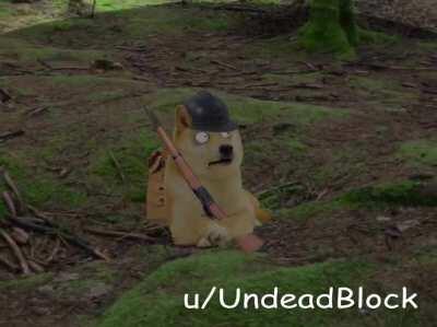 le french in WW1 has arrived