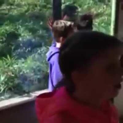 I don't really think that was a pumpkin.