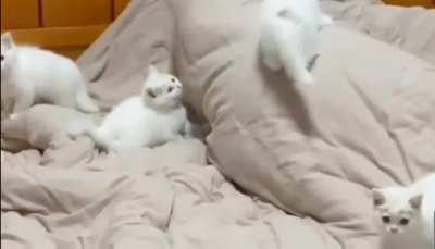 When they find out I make a mean breakfast.