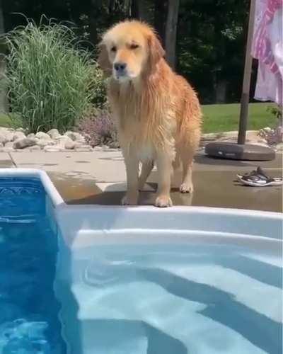 Well, at least he got the 'Golden' part right.