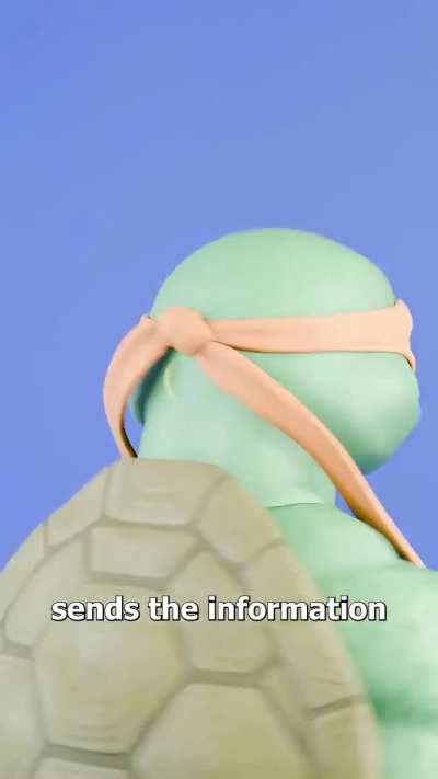 How The 1990 Ninja Turtle Masks Worked (by Zack D. Films)