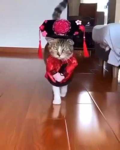 Фэшн из май профешн