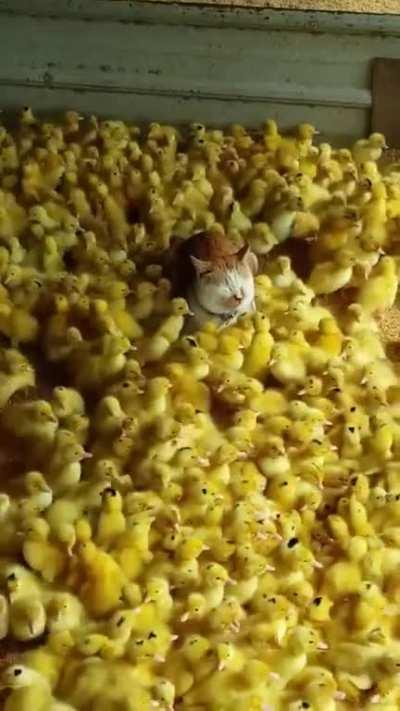 Building self-control.