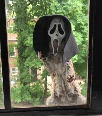 This spooky squirrel feeder