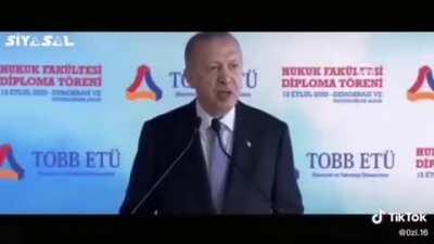 Yahu şu mizahın lezzetine bakar mısınız! Hakaret yok, öfke yok, tahkir yok! Miss gibi komik, miss gibi tercüman. Kim yaptıysa ellerine sağlık👏