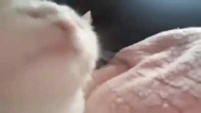 For Your Eyes Only hits different