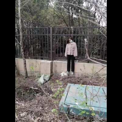 2022年，滞纳已进入后现代社会