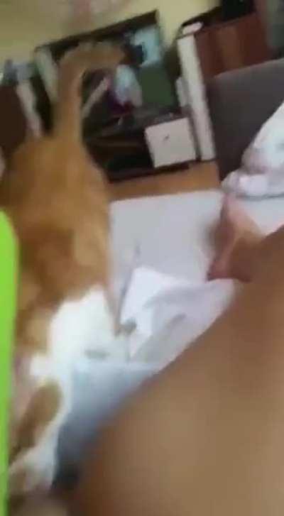 Hungry pussy goes for a snack