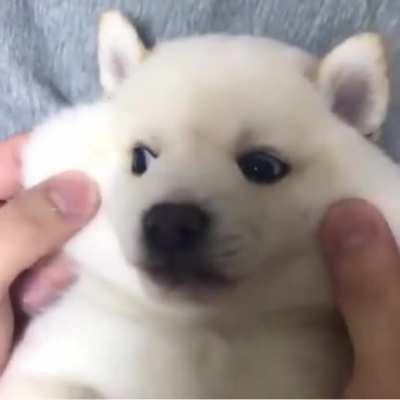 I found this on oddly satisfying