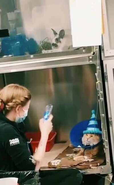 Behind the scenes at the vets office