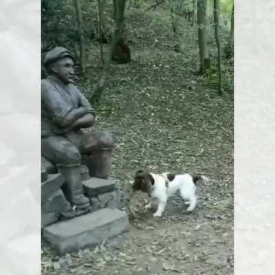 Come on man! Play with me..