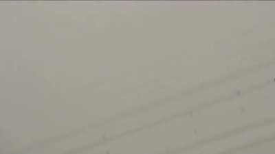 Raining spiders in a city, in Brazil.