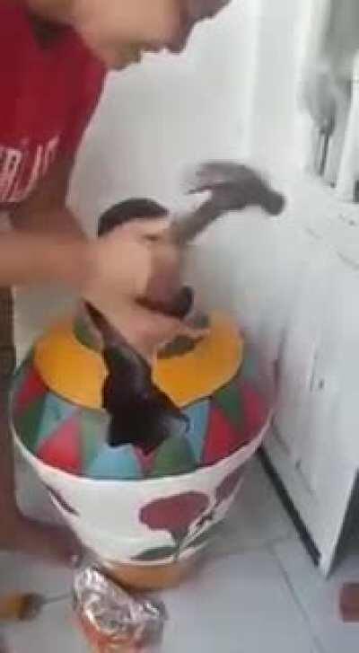 HMJB while I try to hide in here