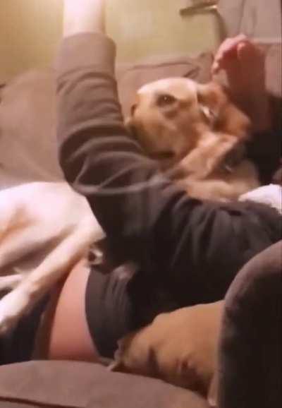 Meteors are approaching you