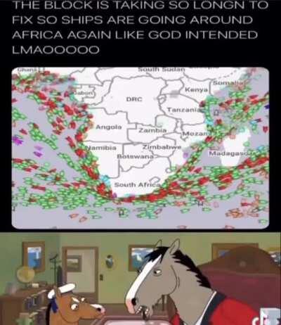 Horse is depression because Democrats Diane!