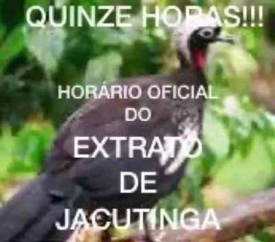 Quinze horas já sabe né?