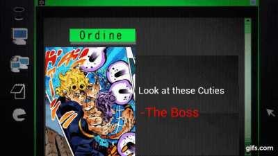 ✉️ message from the Boss 💌