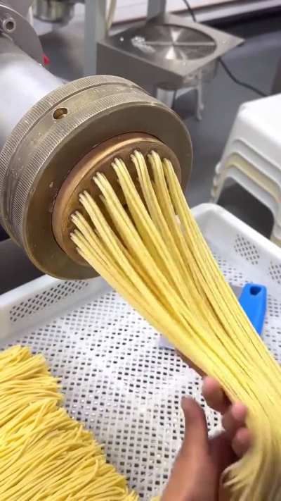 Spaghetti being extruded and cut