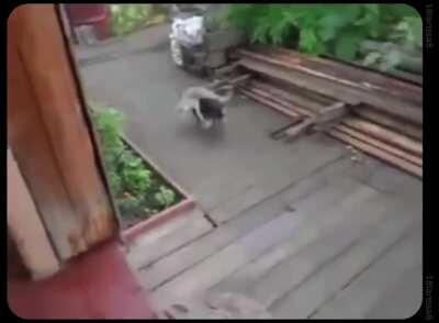 best friends forever