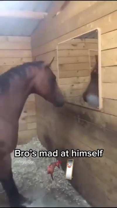 Stole this from a national meme page