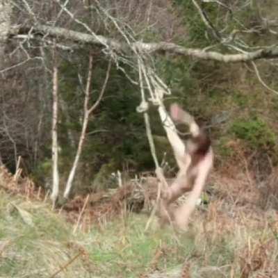 Хорошая баба, с режимом самофиксации, голова не болит никогда