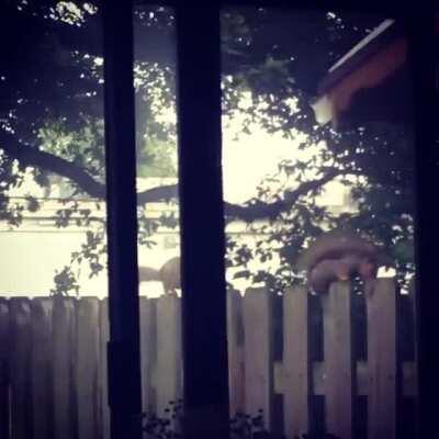 2020 is all around savage.